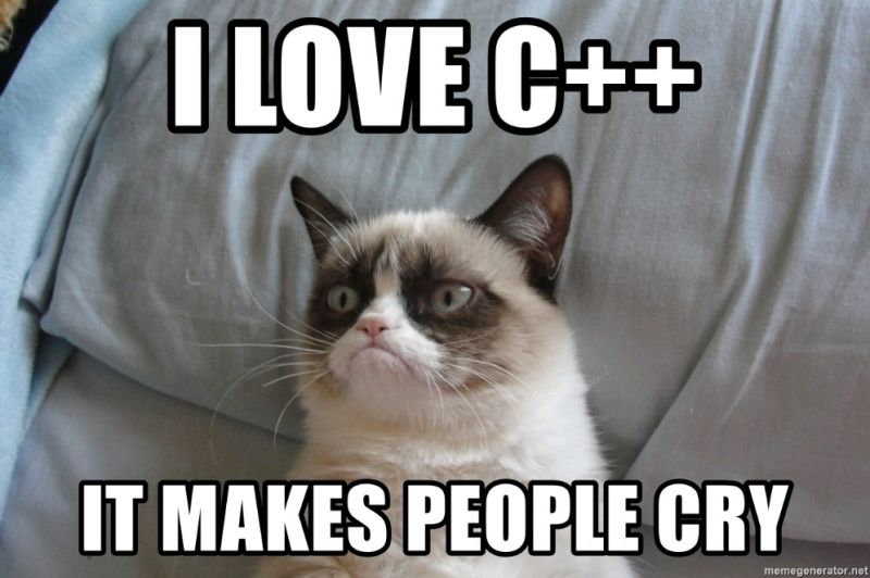 C++ makes people cry